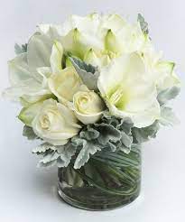 White Rose Amaryllis Classic Amaryllis Arrangement Amaryllis Flowers Winter Arrangements