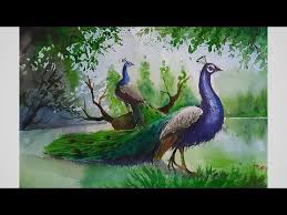 Peacock border, try to change the thickness and blackness of the line. How To Draw A Peacock With Watercolour Step By Step Youtube Peacock Painting Nature Art Painting Loose Watercolor Flowers