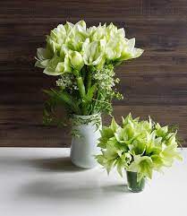 Indulge In Irresistible Shades Of Apple Green Zesty Lime Amaryllis Forest And Amar Winston Flowers Beautiful Flower Arrangements Same Day Flower Delivery