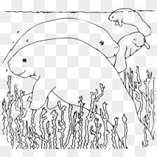 After checkout youll be given a direct link to download. Free Coloring Pages Png Images Hd Coloring Pages Png Download Page 4 Vhv