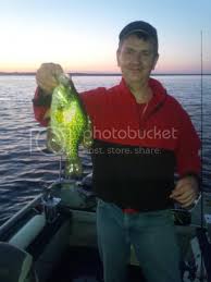 Senior member · from coupeville, wa. Musky Mania Cameron Balsam Lakes Channel 6 8