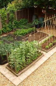 Marksvegplot Blogspot Com Backyard Vegetable Gardens Vegetable Garden Design Garden Design
