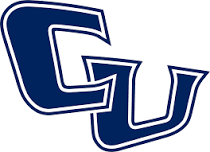 Girls Volleyball Grades 7-12 (Traditional All Skills Camp)