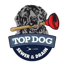 Top dog plumbing & heating corp. Top Dog Sewer Drain Home Facebook