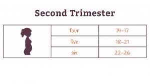 How many weeks is seven months pregnant? Pregnancy Weeks To Months How To Do The Math Accurately