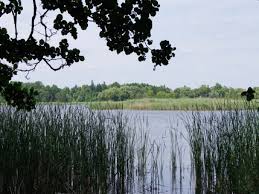 Jezioro PniewyUndercarp.pl -