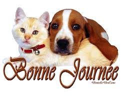 Résultat de recherche d'images pour "image de bonne journée"