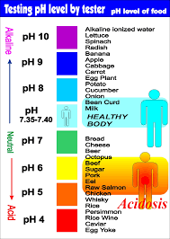Foods That Are Alkaline And Acidic Alkaline Foods Ph