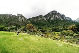 Wenn Man In Kapstadt Ist Sollte Man Sich Den Botanischen Garten Von Kirstenbosch Nicht Entgehen Lasse Botanischer Garten Garten Landschaftsfotografie