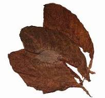 Corojo 99 Filler Tobacco, Ligero, 1lb.- Cigar Tobacco – Whole ...
