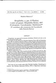 Image result for Plinthus