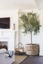 style je woonkamer met een grote kamerplant in de hoek roomed woonkamerplanten kamerplanten huisdesign