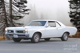 Image result for Cameo Ivory 1967 GTO