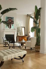 Indoor Trees Meghan Carter British Colonial Decor House Interior Home Decor