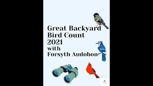 Be a citizen scientist and join the great backyard bird count 2021! Great Backyard Bird Count 2021 Youtube