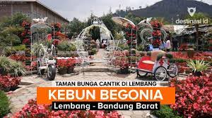 Wisata Kebun Begonia Taman Bunga Lembang Bandung Barat Destinasiid Youtube