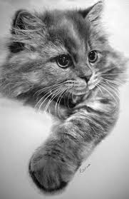 We did not find results for: Bleistift Graphit Realismus Zeichnung Liebe Zeichnung So Viel Egal Zu Zeichnen Oder Zu Sehen Katten Tekening Katten Dieren Tekenen