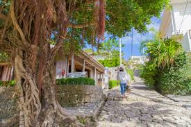 沖縄に行くなら、ここも見逃せない！ド定番スポットを外した、おすすめコース │ catchy.