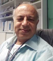 Cyberbullying Behaviour: A Study of Undergraduate University Students