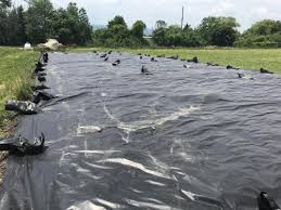Any company who can provide plastic ground sheet. Reusable Black Tarps Suppress Weeds And Make Organic Reduced Tillage More Viable Eorganic