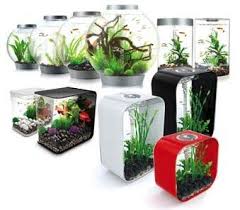 Come In And Check Out Our New Biorbs Biubes And Biolife Aquariums Perfect For The Beginner And Seasoned Hobbyist Alike
