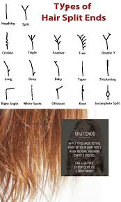 1 Egg 3t Evoo 1t Honey Put On Hair Mostly Ends And Leave For 1 Hour Before Washing Split Hair Hair Growth Tips Grow Hair
