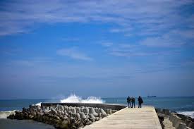 Check spelling or type a new query. Keindahan Laguna Di Pantai Glagah Yang Wajib Kamu Kunjungi
