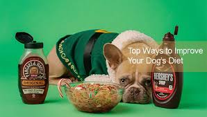 Can you give tylenol pm to a dog, what can i use to put my dog to sleep, can you kill a dog with tylenol, what can you give a dog to make them go to sleep, how to euthanize a dog naturally, can you give a. How To Euthanize A Dog With Tylenol Pm Best Way To Put Down A Dog