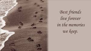 So, when it comes to saying goodbye it can be an extremely tough and emotional time. Pet Loss And Grieving Services Humane Society Of Broward Countyhumane Society Of Broward County