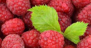 Planetoscope Statistiques Production Mondiale De Framboises