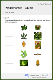 hier findest du kostenlos originale prufungsaufgaben mit losungen zur vorbereitung auf deine sachkunde klassenar klassenarbeiten erste klasse wald grundschule