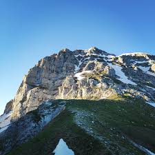 Image result for Kedrostis abdallai