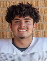 HS FOOTBALL: Stanton duo named TSWA all-state honorable mention