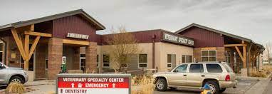 Animalercare.com our products and services include all practices are affiliated with the veterinary specialty center, comprehensive, compassionate, emergency care for dogs, cats, birds & exotics. Animal Er Care Llc Home Facebook