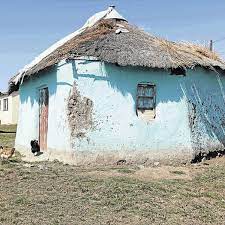 And in august 1952 he and oliver tambo established south africa's first black law . Saving Tambo S Home