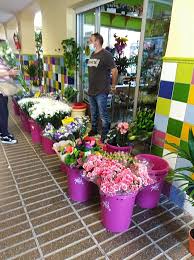 Floristería Enrique