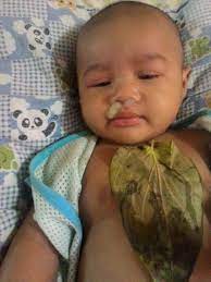 Kekadang, sampai juga takat yang di mana anda menjadi agak paranoia mengenainya. Petua Guna Daun Sireh Untuk Hilangkan Batuk Dan Kahak Bayi Dicuba Ibu Ini Berkesan Pa Ma
