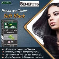 How to get rid of white hair? How To Turn White Hairs Into Black Quora