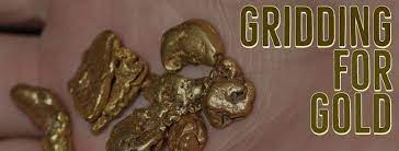 If there is no gold at the location where you are metal detecting, i assure you you will not have you had any luck finding gold in your metal detecting adventures? Try Gridding To Find Every Last Nugget With Your Gold Detector How To Find Gold Nuggets