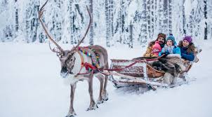 Nell'immaginario collettivo la finlandia ricopre un ruolo fondamentale, nota per definizione come la terra natale di babbo natale. Escursioni Sulla Slitta Delle Renne A Rovaniemi In Lapponia Finlandia Santa Claus Reindeer
