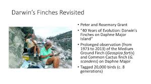 When rosemary and peter grant first set foot on daphne major, a tiny island in the galápagos archipelago, in 1973, they had no idea it would herbs, cactus bushes and low trees provide food for finches — small, medium and large ground finches, as well as cactus finches — and other birds. Natural Selection Exotic Birds Do It Ppt Download