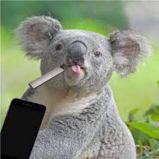 Dreamstime is the world`s largest stock photography community. Animal Cell Album By Dr00p Spotify