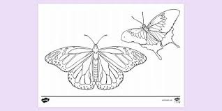 For boys and girls, kids and adults, teenagers and toddlers, preschoolers and older kids at school. Printable Butterfly Colouring Page Colouring Sheets
