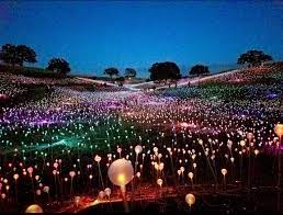Bruce Munro S Field Of Light At Sensorium Paso Robles Art And Architecture Paso Robles Botanical Gardens