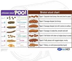 Image result for Bristol Stool Scale