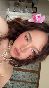 Daisy Blooms Best Pics