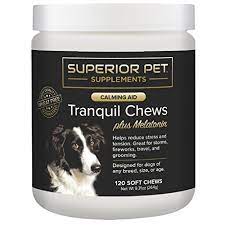 Pet Sleeping Pills Sedatives For Dogs How And When To Use Them Safely