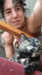 Cuddling tortoise shell and brother cats