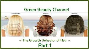 Each hair shaft has three layers 1. The Growth Behavior Of Hair Structure Youtube