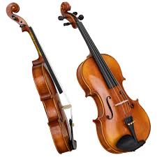 Image result for Viola eminii